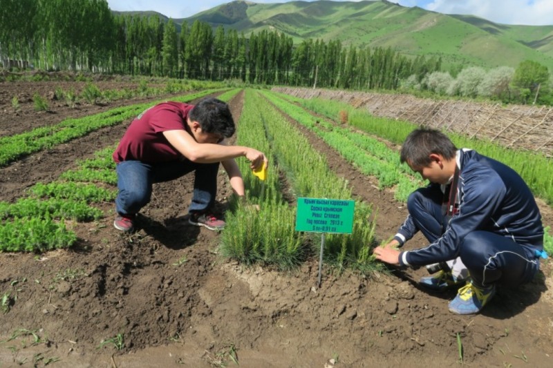 수프로가 진행한 키르키즈스탄 산림보전 역량사업.(사진=수프로 제공)