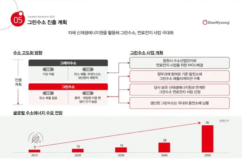 대명에너지의 그린수소 진출 계획.(자료=대명에너지 IR 기업설명회)
