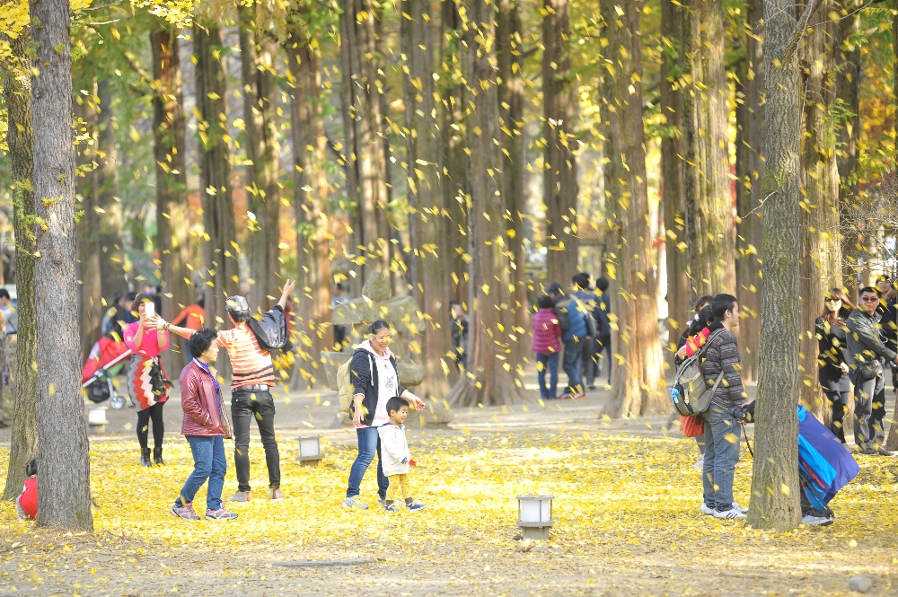 남이섬을 찾은 관광객들의 모습. 사진=남이섬