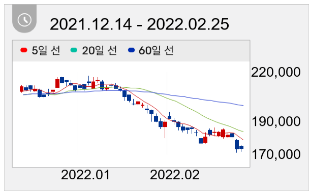 현대차 일봉 주가차트