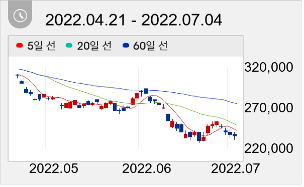 NAVER 일봉 주가차트