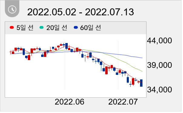 신한지주 일봉 주가차트