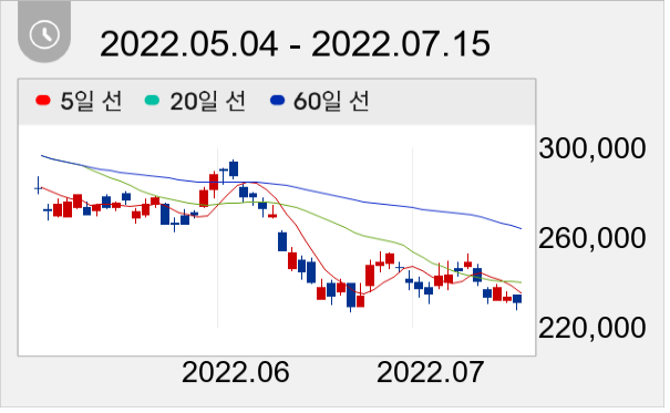NAVER 일봉 주가차트