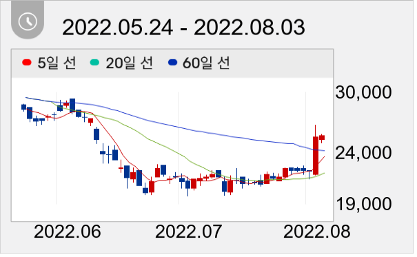원티드랩 일봉 주가차트