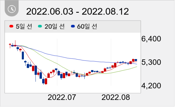 DSR제강 일봉 주가차트