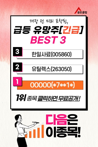 ‘【손실】 커져만 가..'하는 투자자에겐 내일 급등유망주가 '필수'