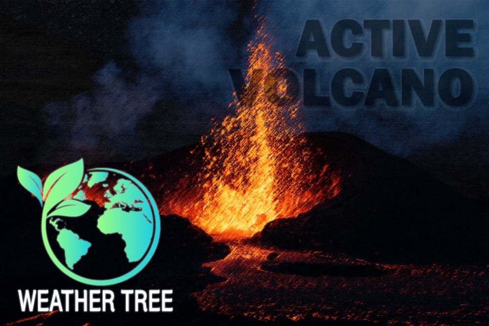 웨더트리, 활화산 활동 정보 제공 서비스 여부 논의 시작