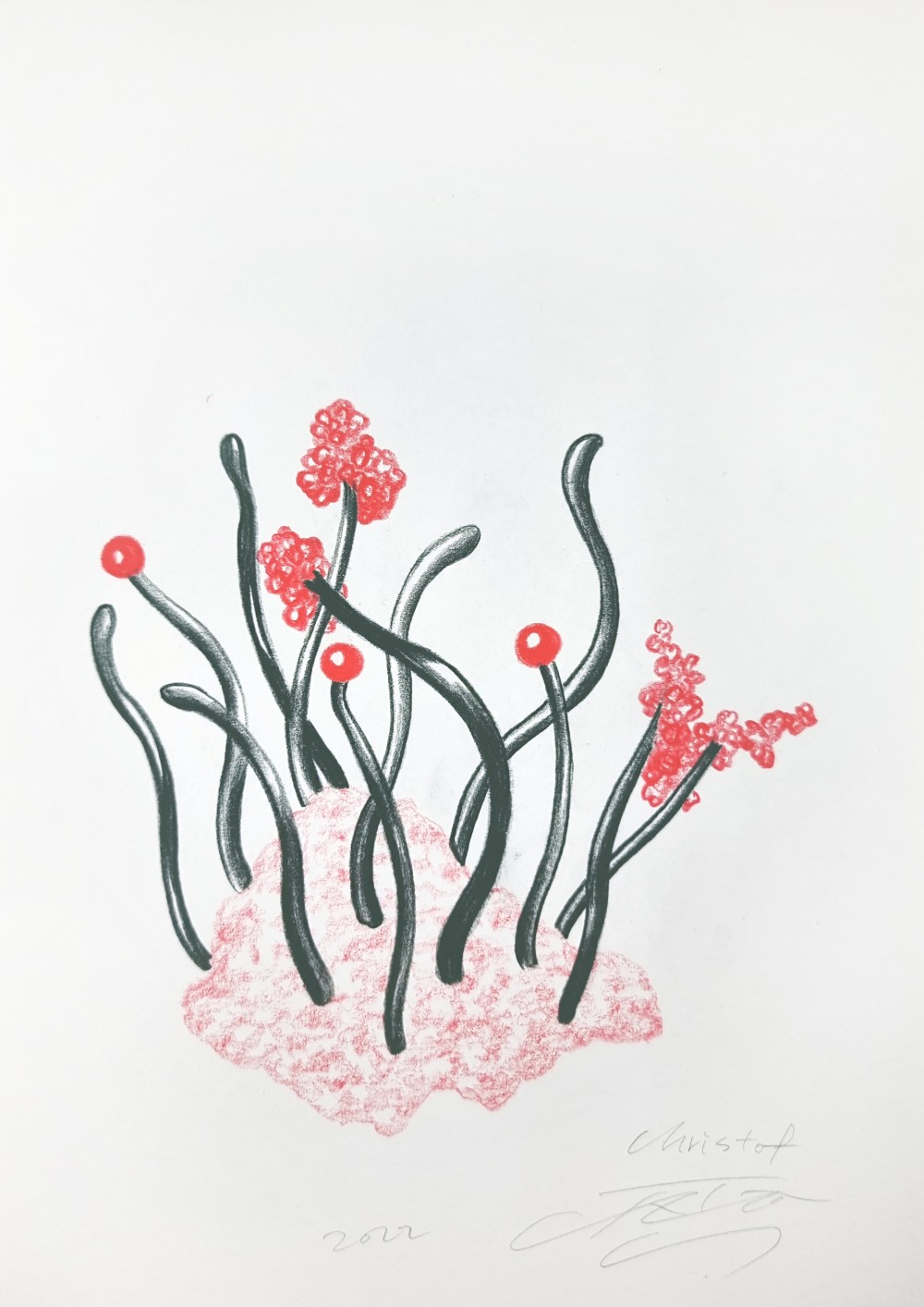 JUHEON CHO, 'Christof Düro', 2022, 21cm x 29.7cm, coloured pencil on paper / 사진=Courtesy of artist, 갤러리JH