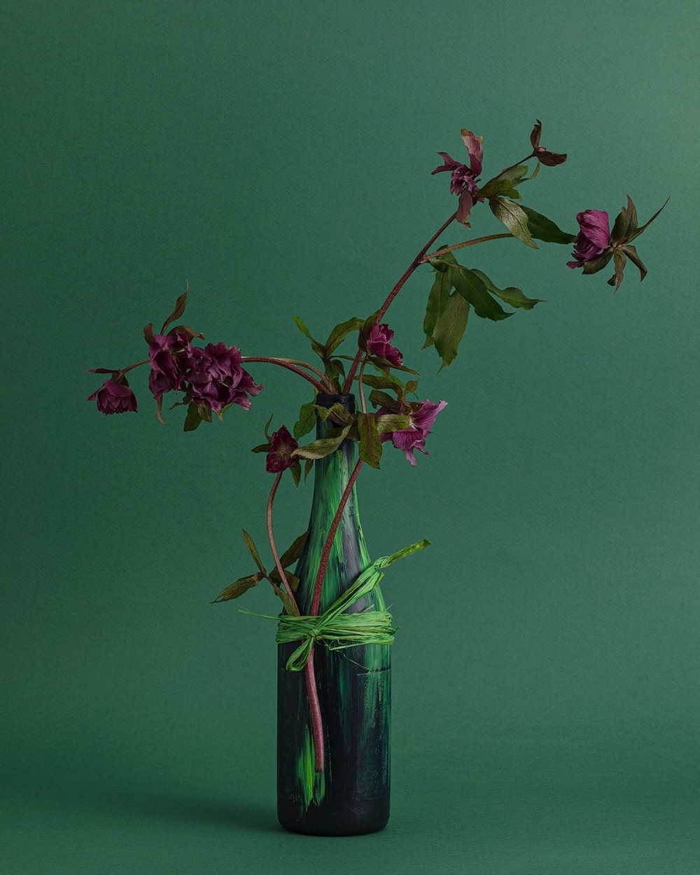 사진제공=제프리 킴 플라워