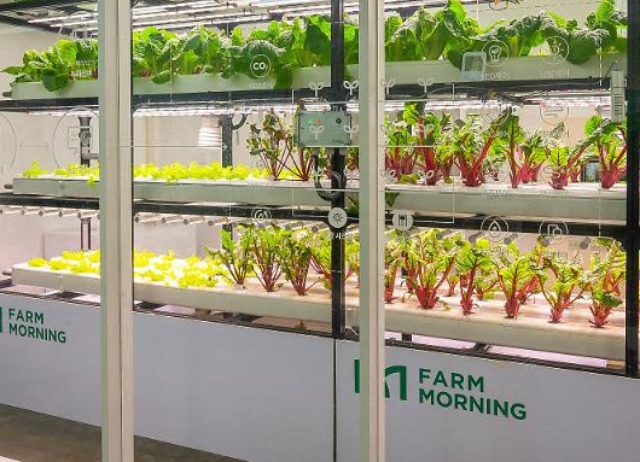 그린랩스 스마트팜 사업