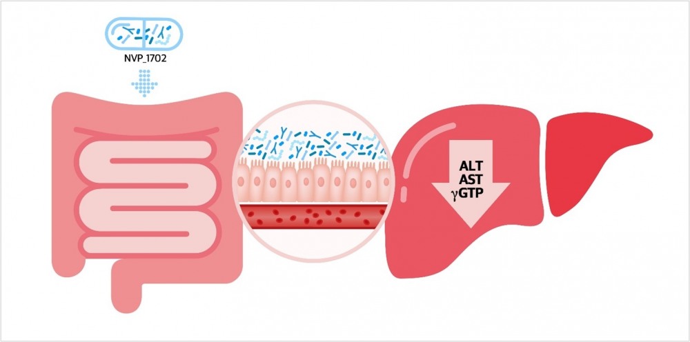 엔비피헬스케어 프로바이오틱스, 국내 최초 식약처 건강기능식품 개별인정 획득