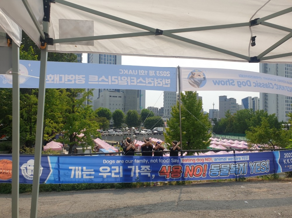 한국애견협회 개의 식용반대 성명서 및 캠페인 진행