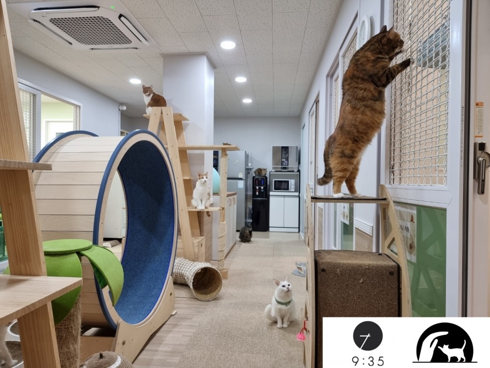 길 위의 생명 수호자와 건강한 지구를 만드는 9시 35분의 만남