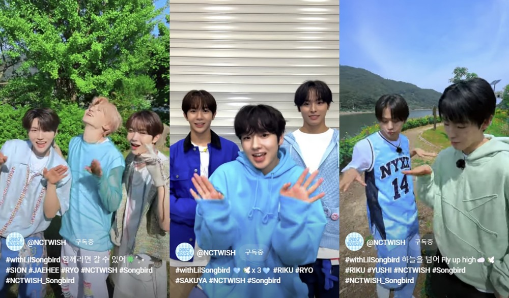 NCT WISH, 신곡 ‘Songbird’ 하이라이트 음원+챌린지 공개…‘경쾌한 멜로디+따라하기 쉬운 안무’