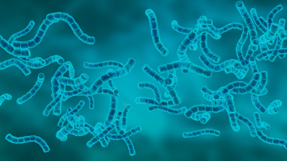 고온다습한 여름철 날씨가 지속되면 미생물 성장이 빨라진다. / 이미지 출처 : freepic(프리픽)