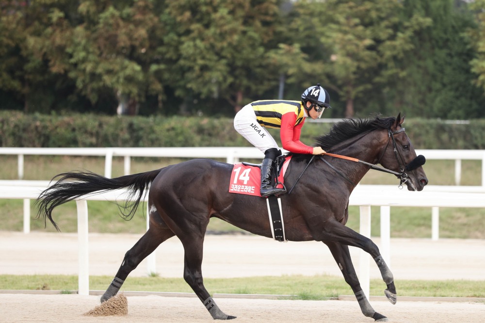 제7회 코리아컵&스프린트‘하드캐리’는 누구?