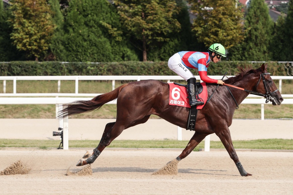 제7회 코리아컵&스프린트‘하드캐리’는 누구?