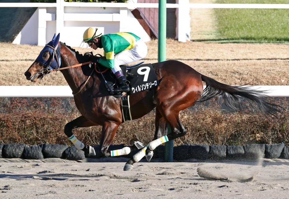 제7회 코리아컵&스프린트‘하드캐리’는 누구?