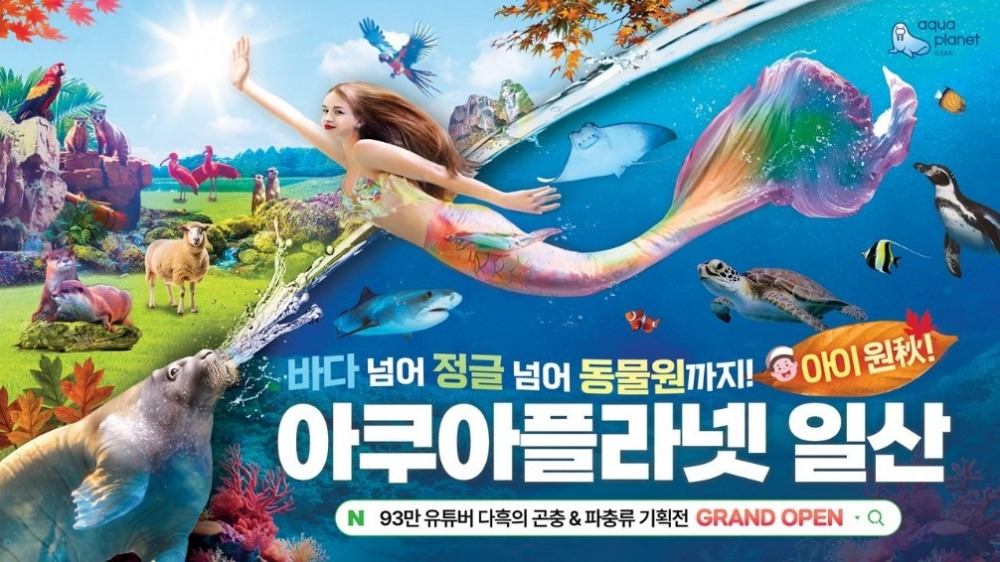 사진=아쿠아플라넷 일산, 광교 추석 이벤트