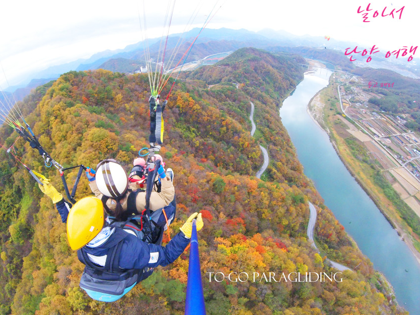 단양 '투고 패러', 단양 패러글라이딩 무사고 최장기간 달성