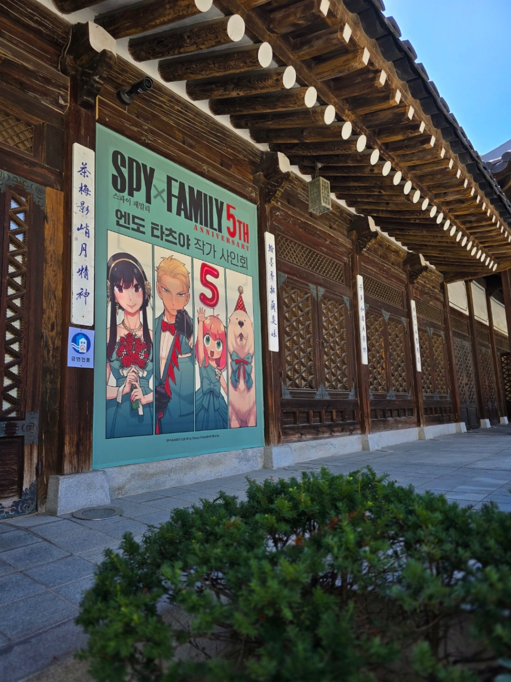 ‘스파이 패밀리’엔도 타츠야 작가, ‘스파패’연재 5주년 맞이 한국 사인회 성료…한국팬 사랑에 감동