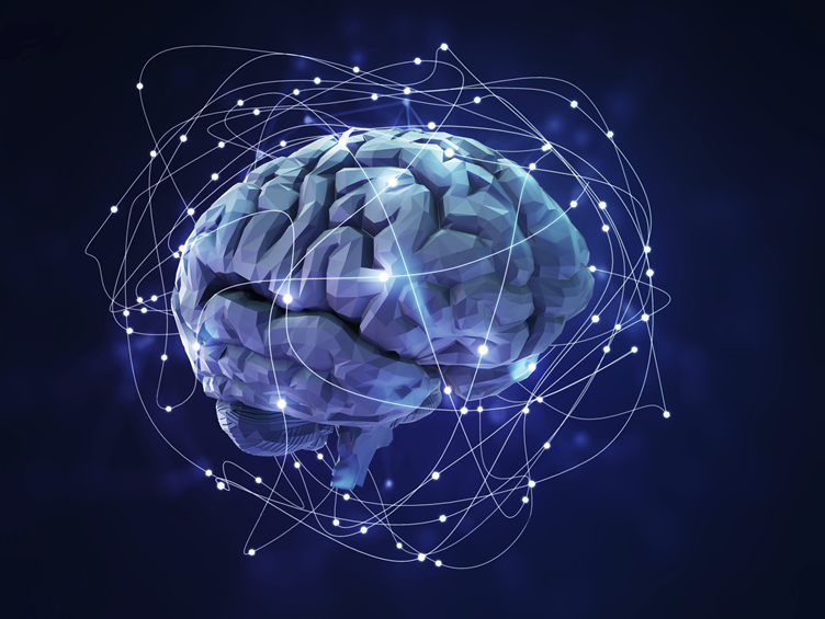 뉴트원 포스파티딜세린 뇌건강&인지력, 뉴트원 신제품 출시