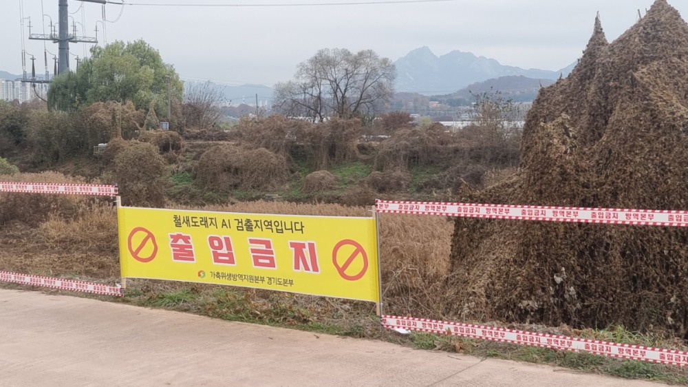 고양특례시 제공