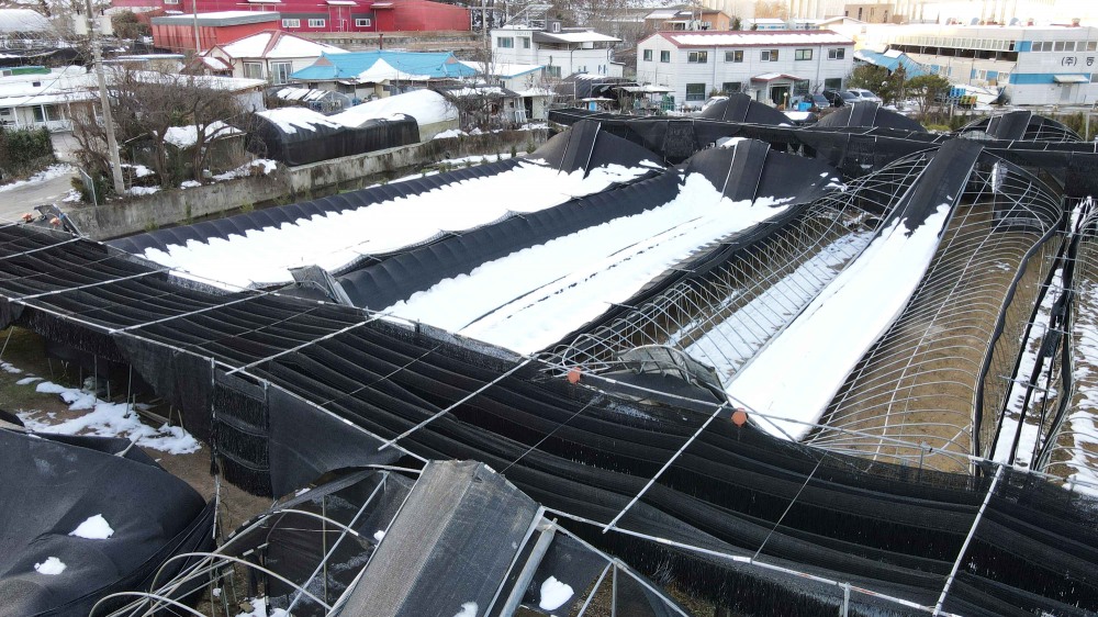 용인특례시 제공