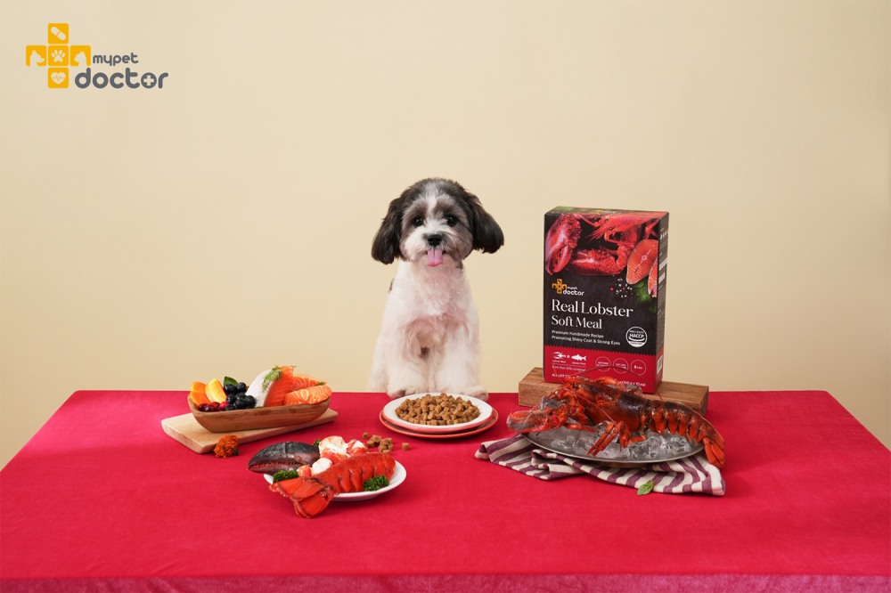 마이펫닥터, ‘랍스터 소프트 사료’ 출시
