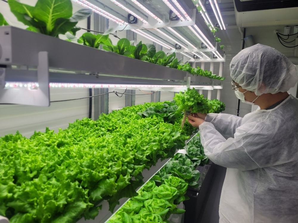 스마트팜 수직농장