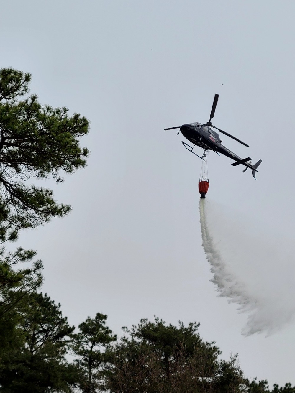 고양특례시 제공