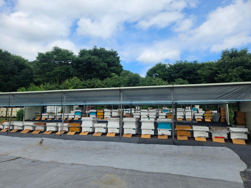 용인특례시 제공