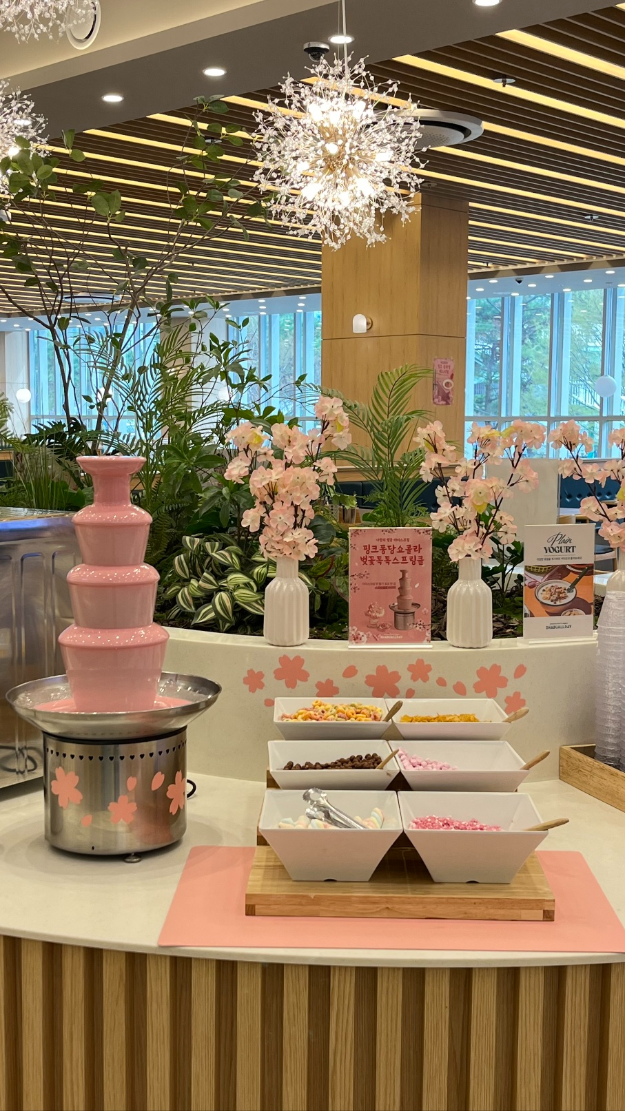 샤브올데이, 전국 벚꽃 개화 시기에 맞춰 ‘핑크 블라썸 페스티벌’ 개최