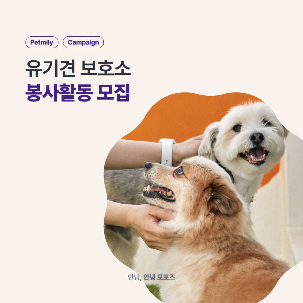 사진= 펫닥 제공