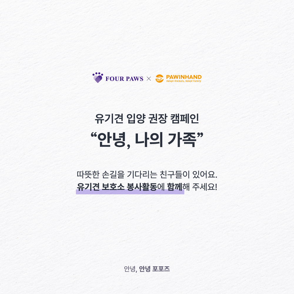 사진= 펫닥 제공