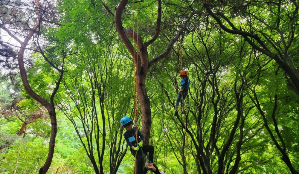 정발산공원 유아숲체험원