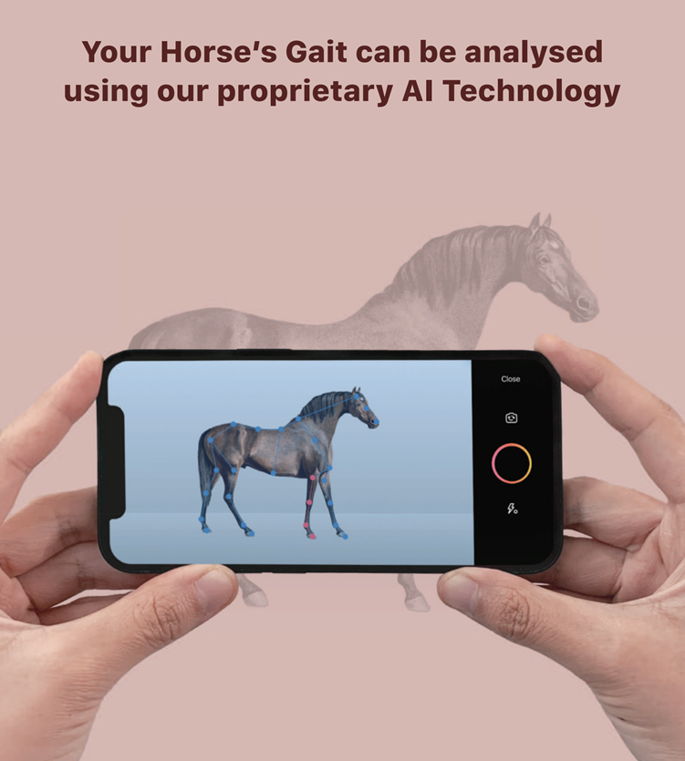 경주마 보행 진단 기술_마사회-에이아이포펫 공동개발