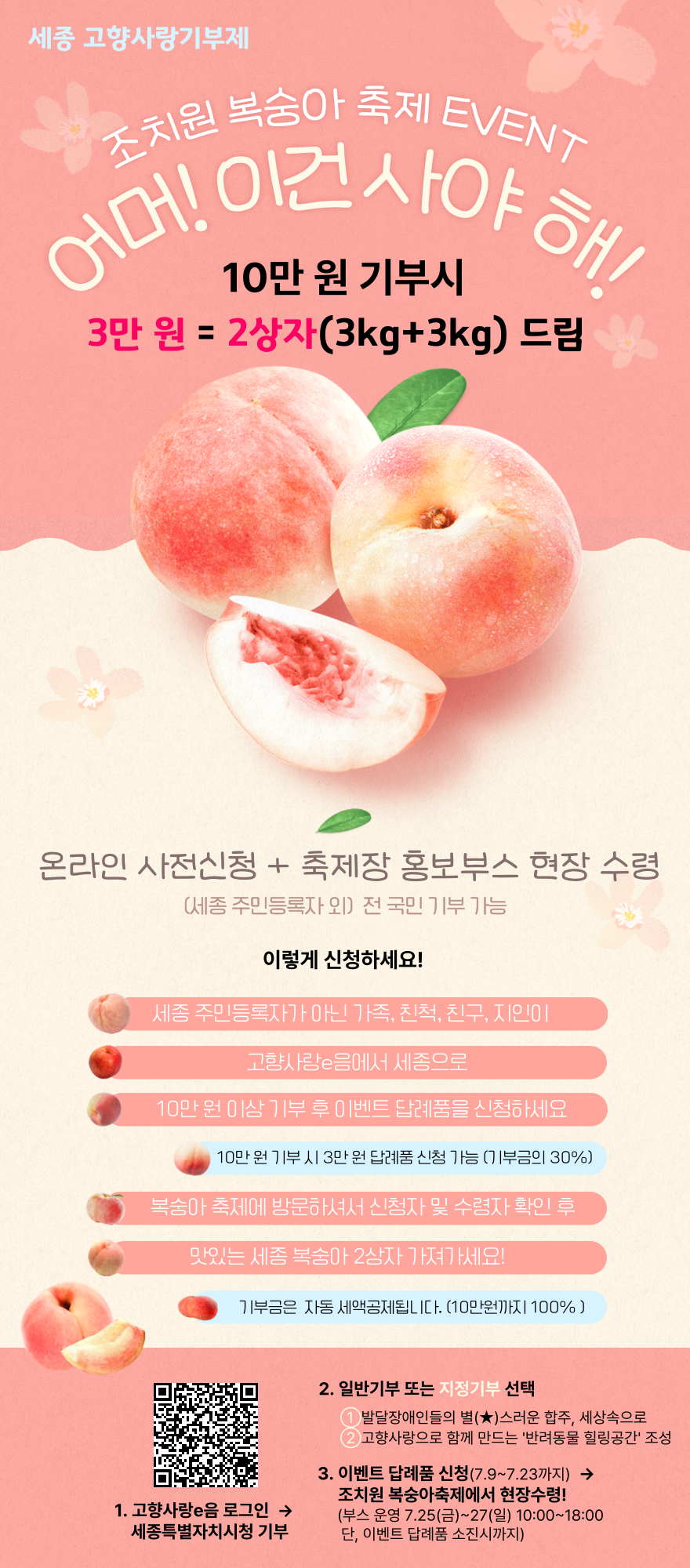 세종시, 고향사랑기부제 복숭아증정 이벤트