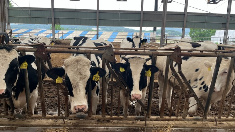 용인특례시 축산 농가