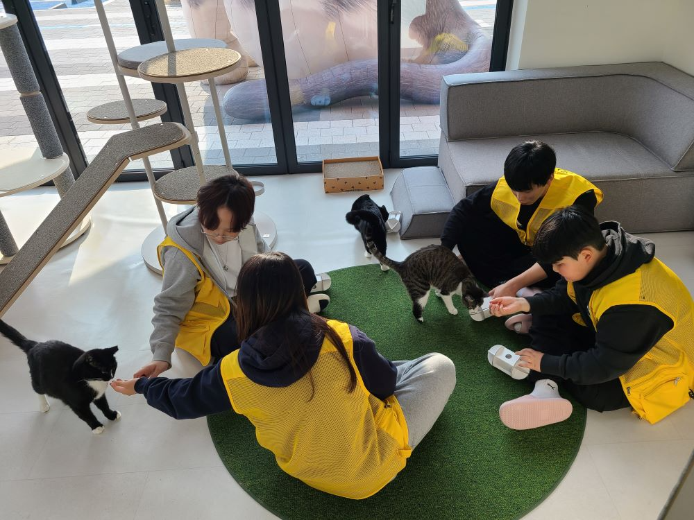 경기도, 청소년 여름방학 봉사 프로그램 운영