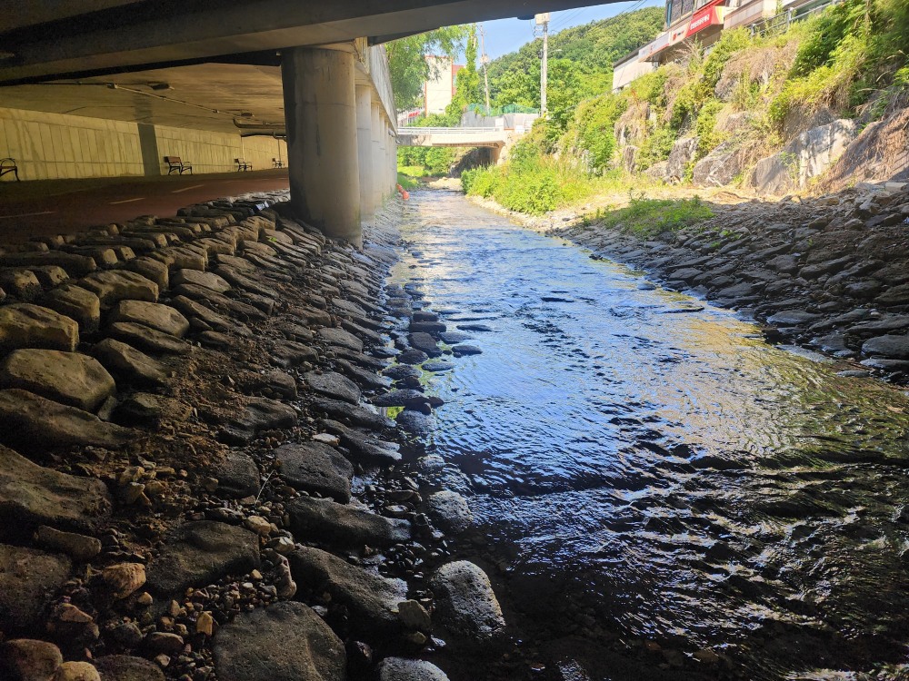 보행 안전 정비사업 완료
