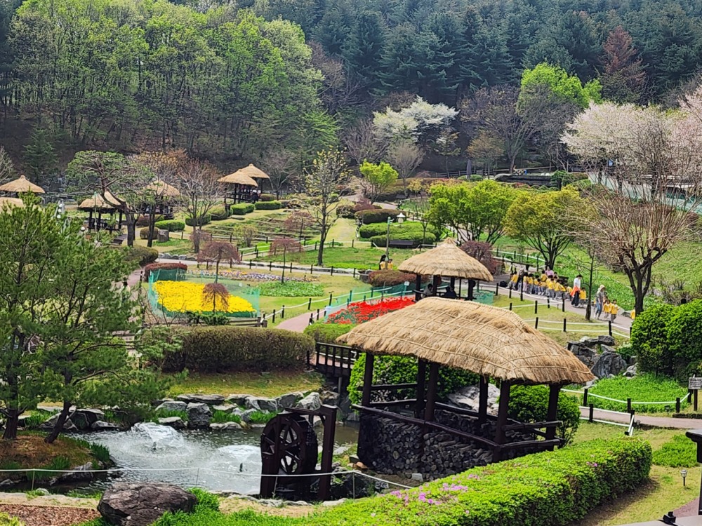 용인특례시 농촌테마파크 여름철 전경