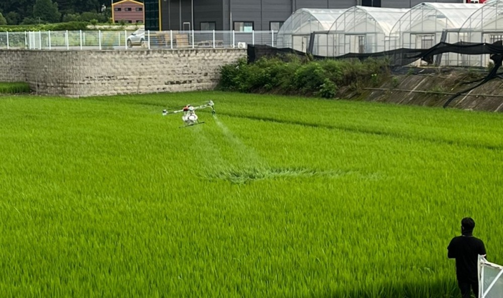 드론·광역방제차 활용 벼 병해충 공동방제