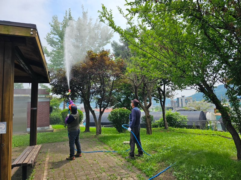 돌발병해충 집중 방제기간 운영