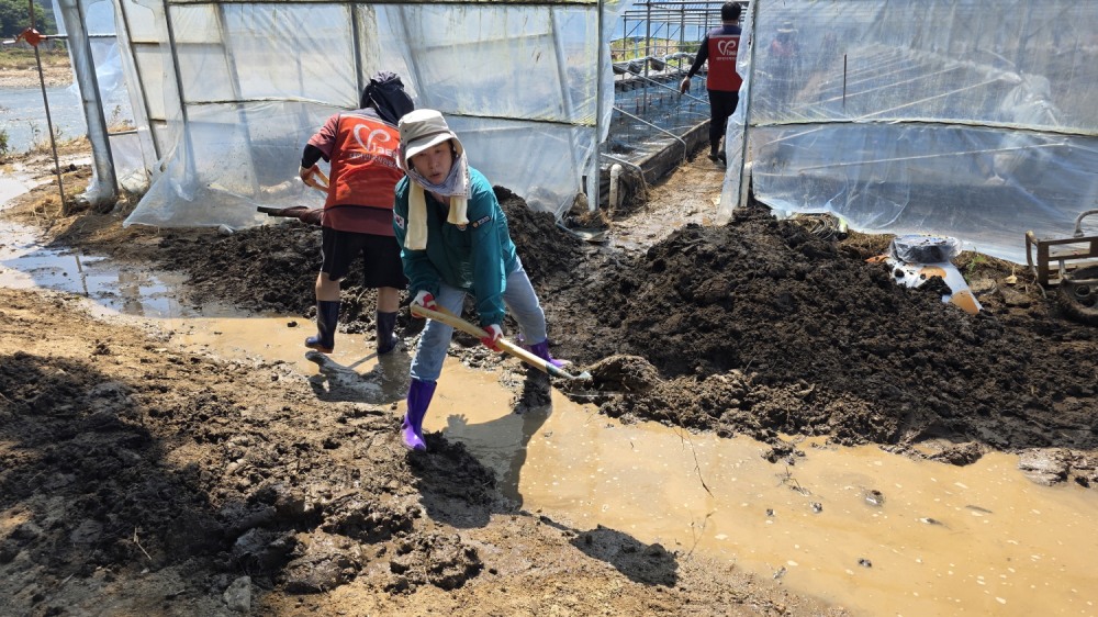 이채영 경기도의원