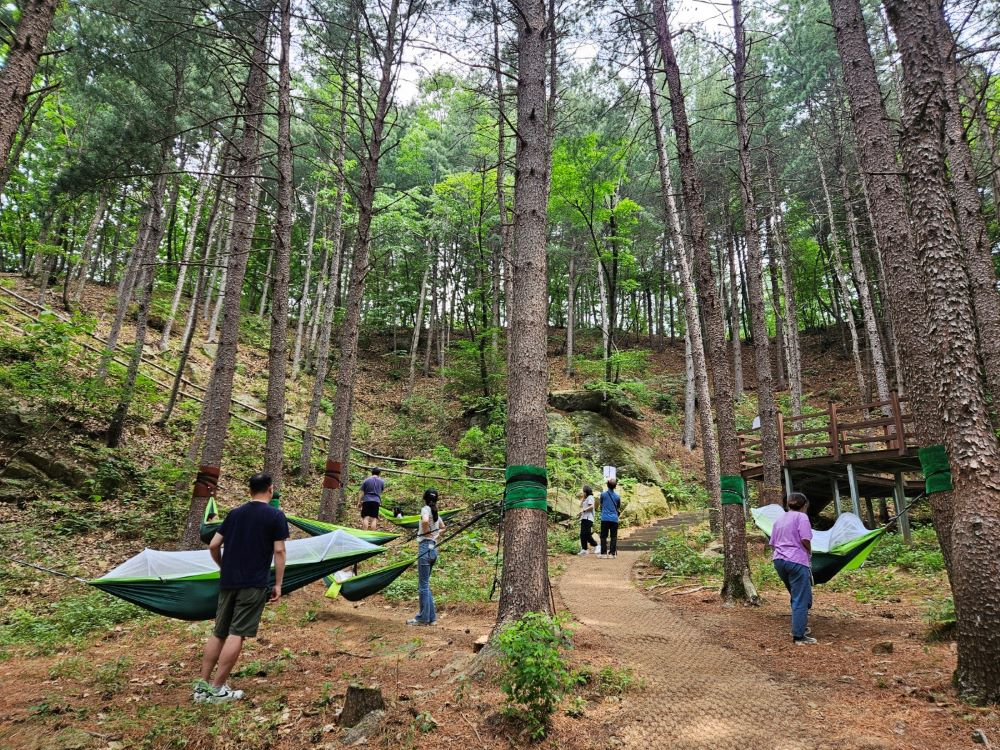 동두천 치유의 숲(경기도청 제공)