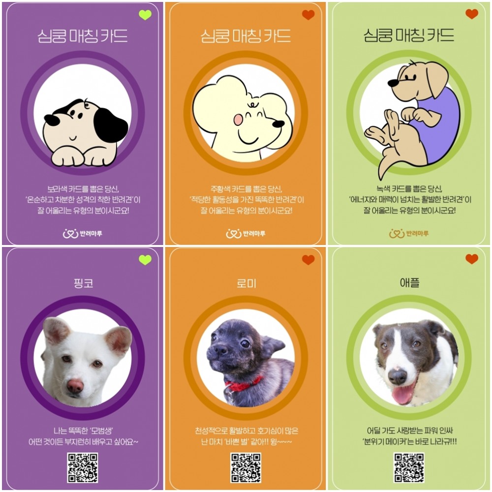 경기도, 수원서 3일간 유기동물 입양상담 팝업 운영