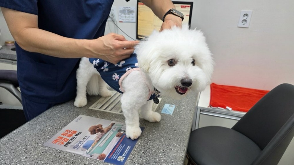 광견병 예방접종