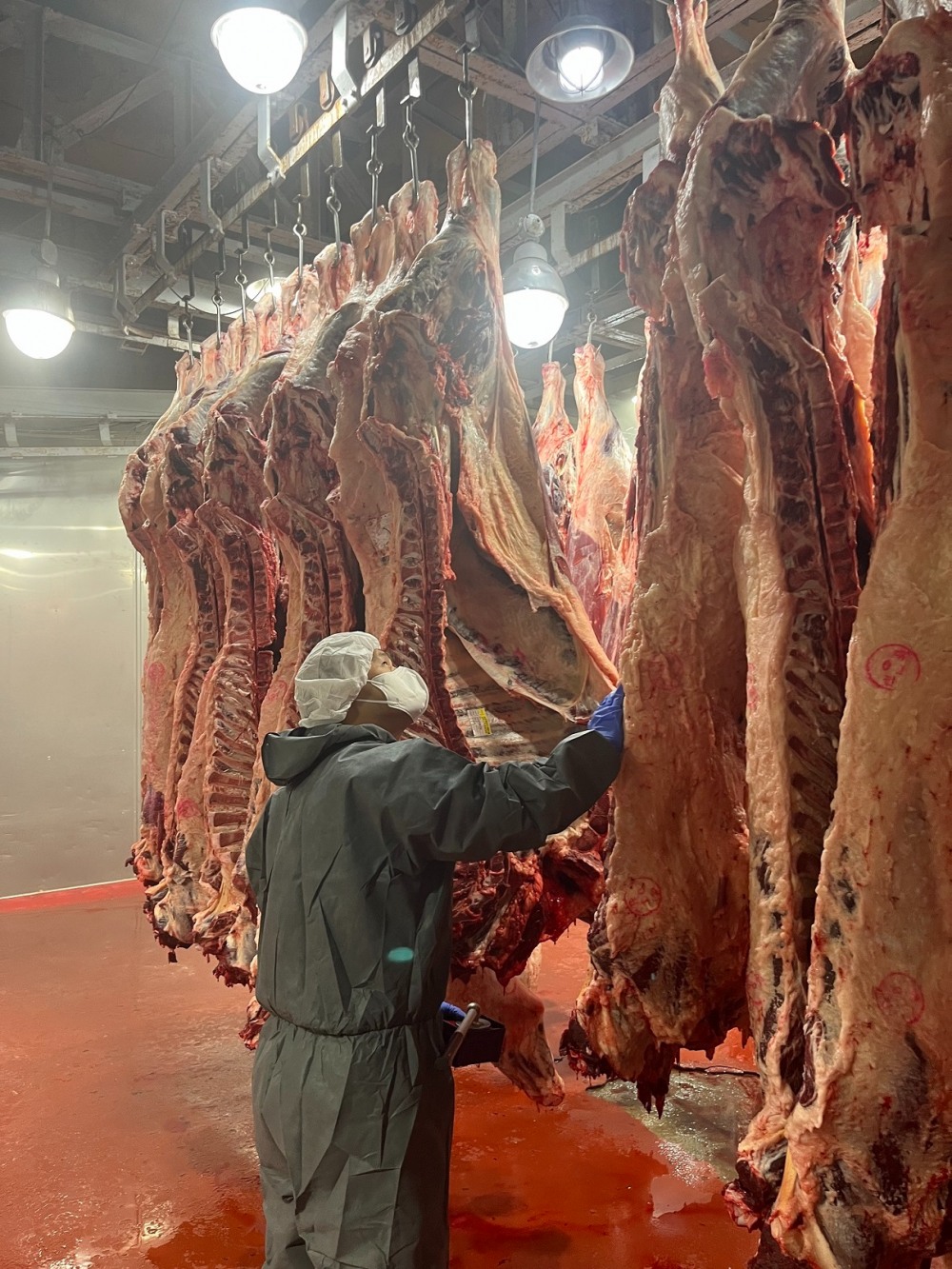 대전시, 추석 명절 대비 식육 수급위해 총력