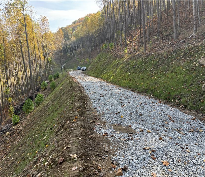 2024년 임도 신설지(아산시 제공)